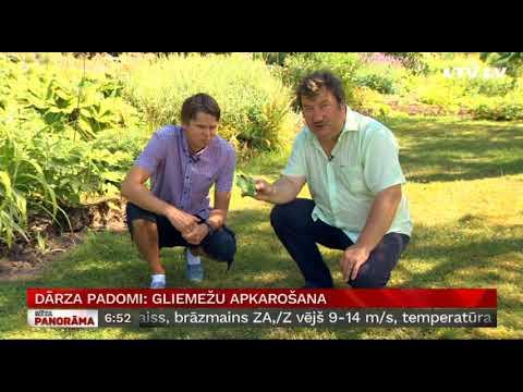 Embedded thumbnail for Dārza padomi: Gliemežu apkarošana