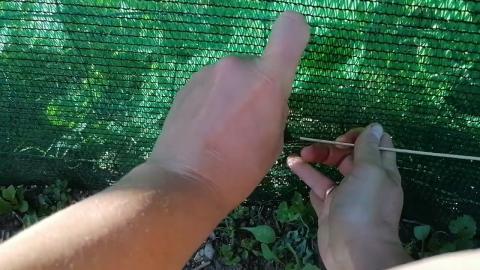 Embedded thumbnail for Pie ēnošanas tīkla otrā pusē pieķēries viens iekarotājs.