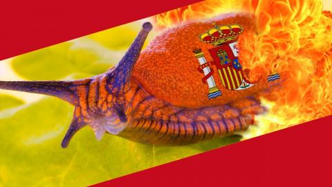 Embedded thumbnail for Spāņu bomžu gliemeži