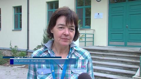 Embedded thumbnail for Izstrādāts plāns invazīvā Spānijas kailgliemeža ierobežošanai